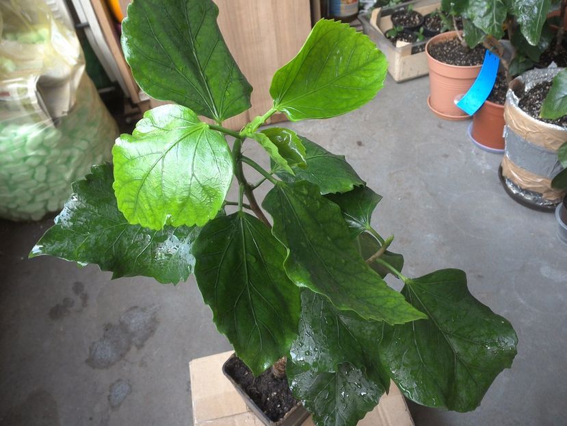 WIN_20170524_072420 - My Way