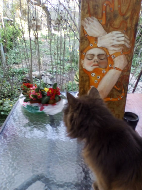  - Yukinojo si Diesel