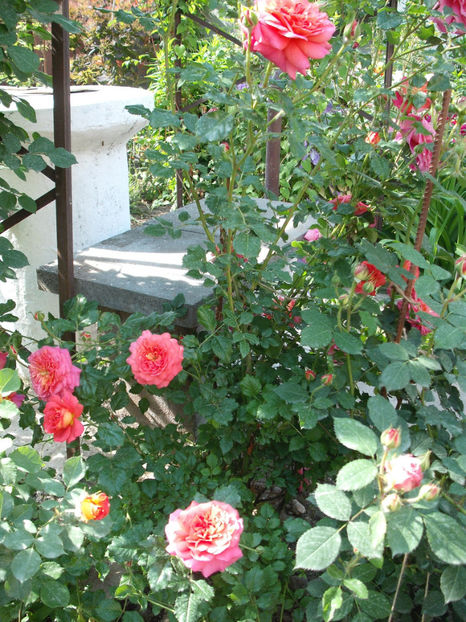  - Christopher Marlowe