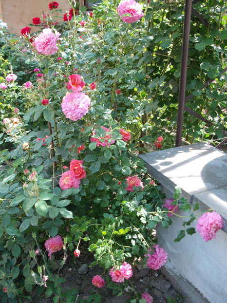  - Christopher Marlowe