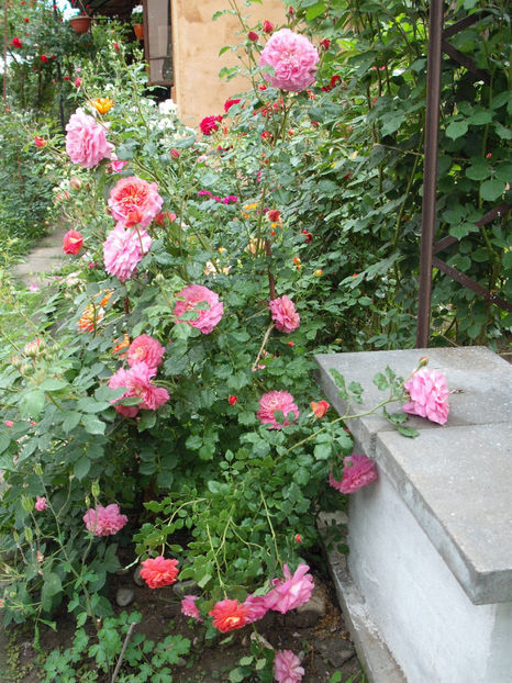  - Christopher Marlowe