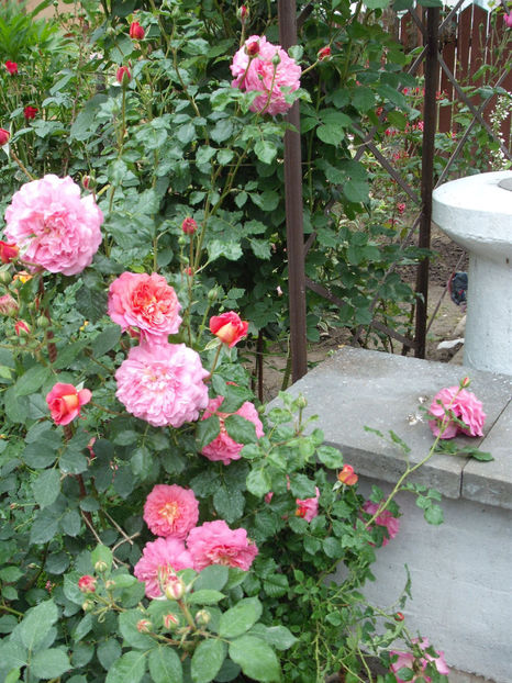  - Christopher Marlowe