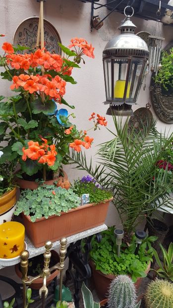  - Mai 2017