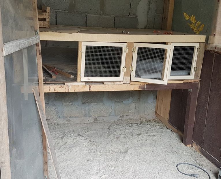 maternitate in derulare - VOLIERE