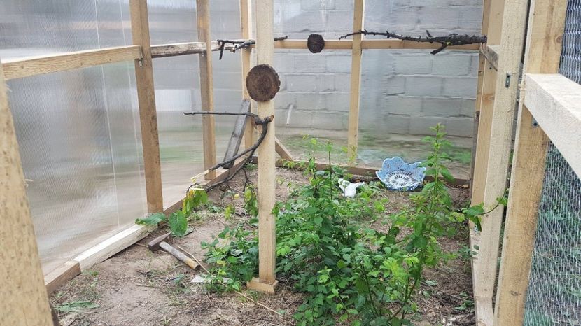 voliera fazan - VOLIERE