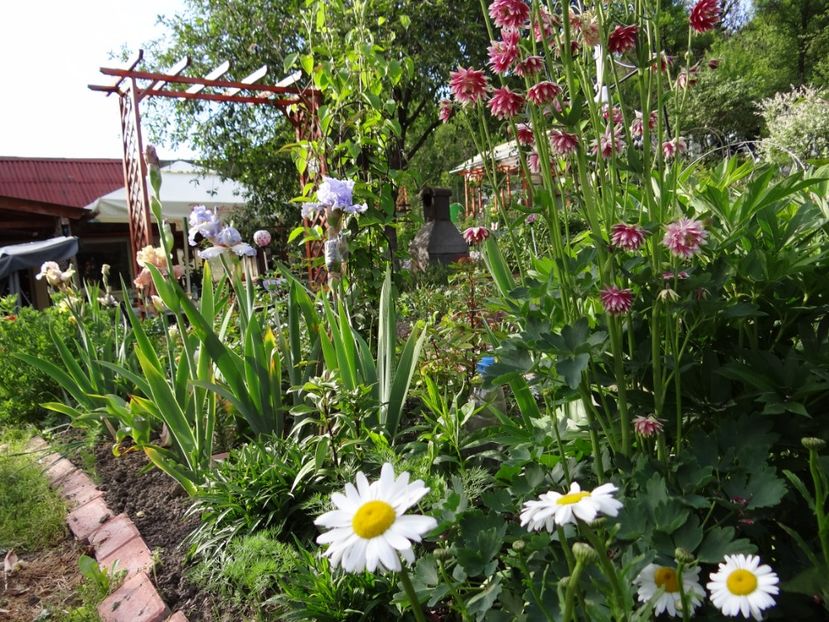  - Mon Jardin prinde contur