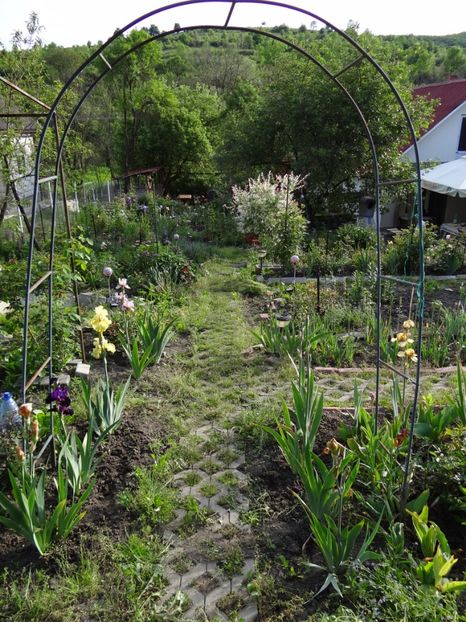  - Mon Jardin prinde contur