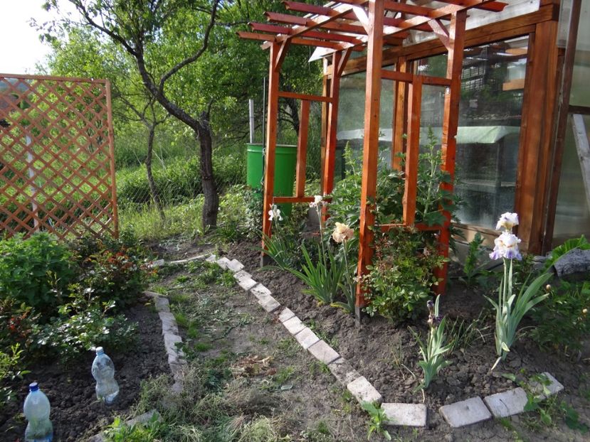 Un colt din Gradina Ascunsa... - si mai frumoase zile de Mai
