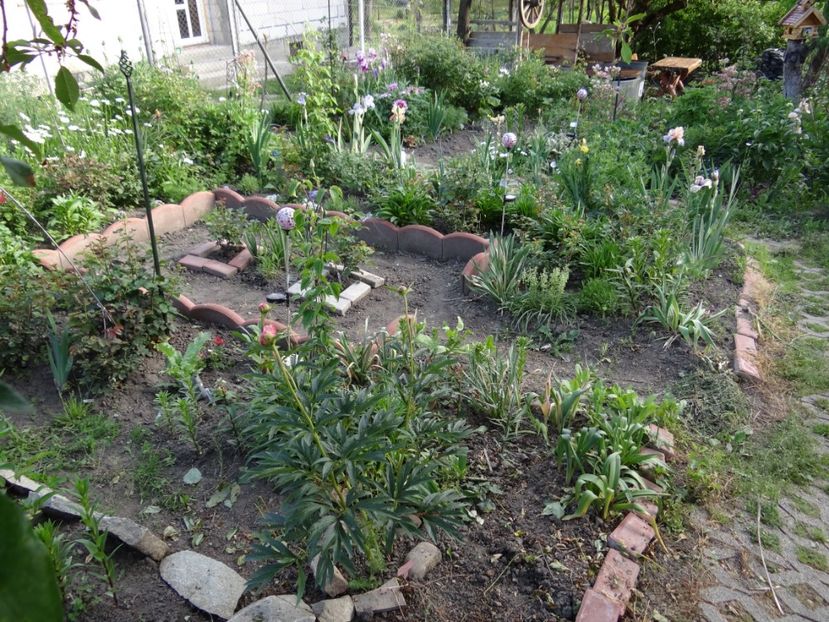  - Mon Jardin prinde contur