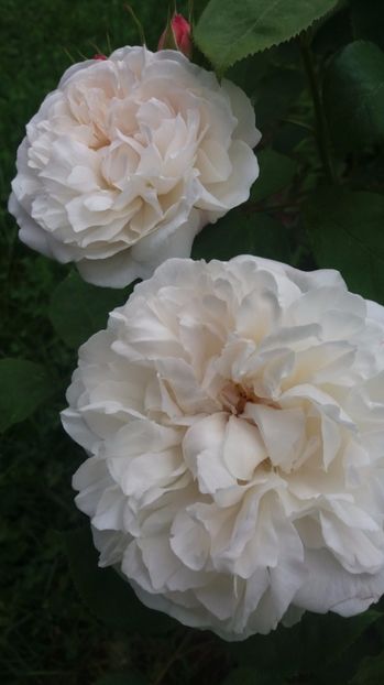  - Winchester cathedral