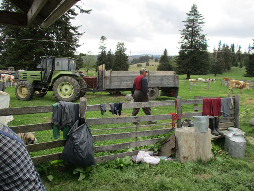 Am ajuns cu bine,,, - Urcatul la Stana Dealul Alb 2017 primavara
