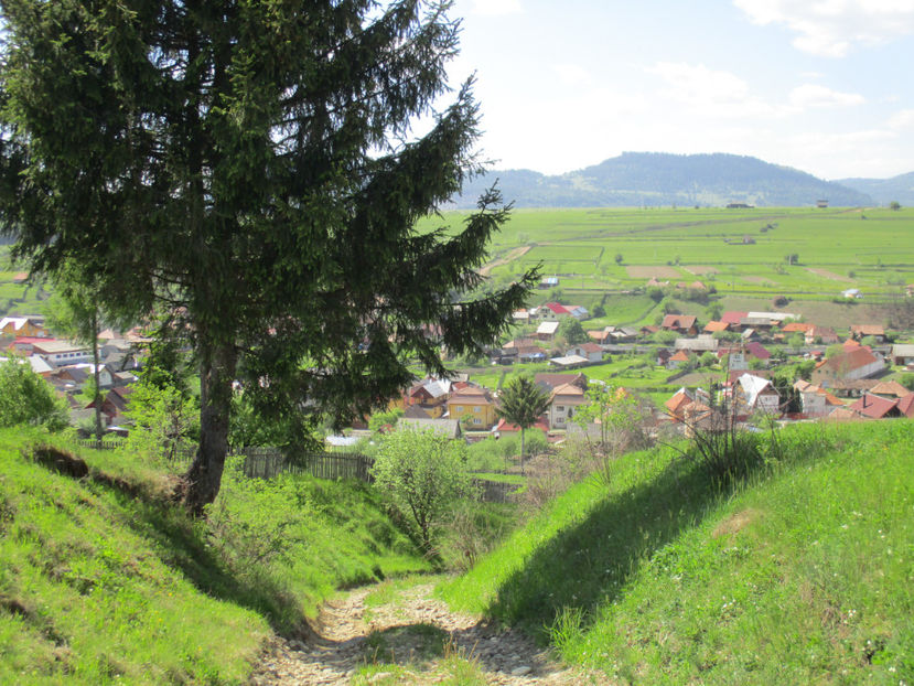 drumul spre Dealul-Vaii -3e - Urcatul la Stana Dealul Alb 2017 primavara