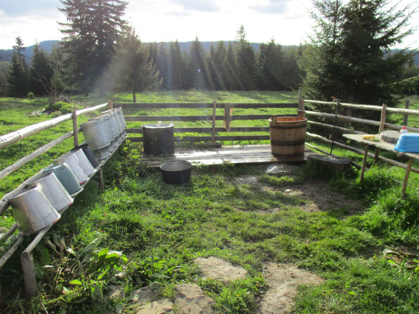 Galetile la spalat-54 - Urcatul la Stana Dealul Alb 2017 primavara