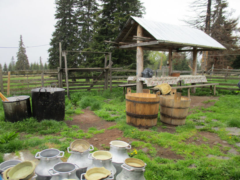 in fata Stanii,,, - Urcatul la Stana Dealul Alb 2017 primavara