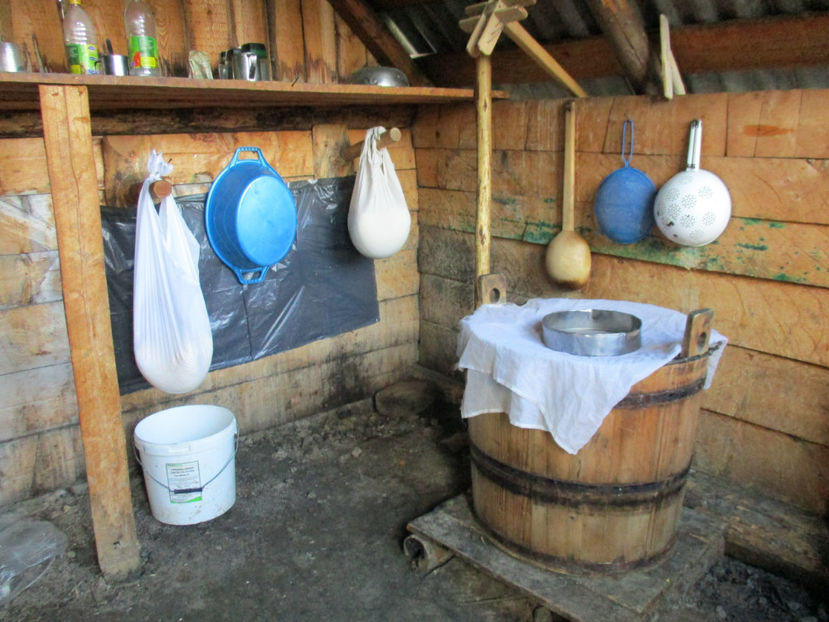 In stana-n66 - Urcatul la Stana Dealul Alb 2017 primavara