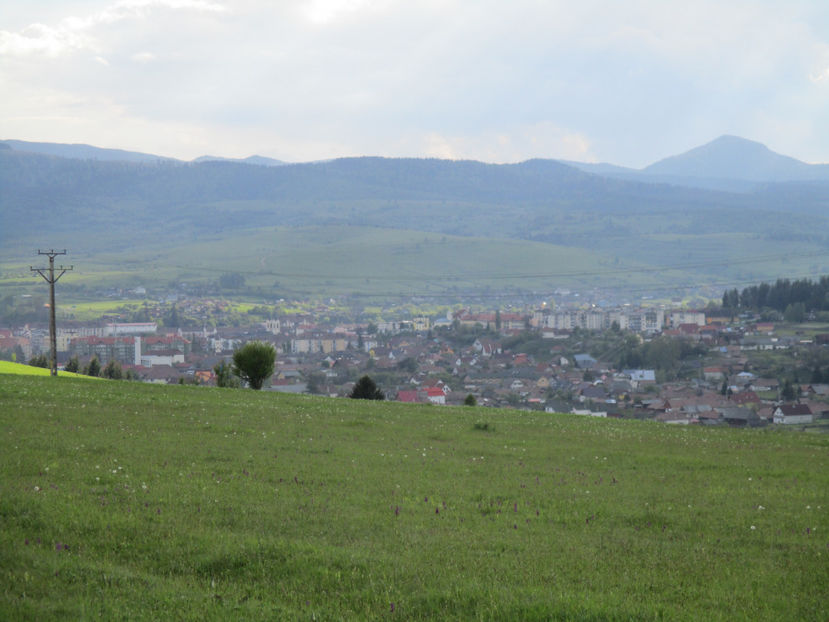 Municipiul Toplita centrul - Urcatul la Stana Dealul Alb 2017 primavara