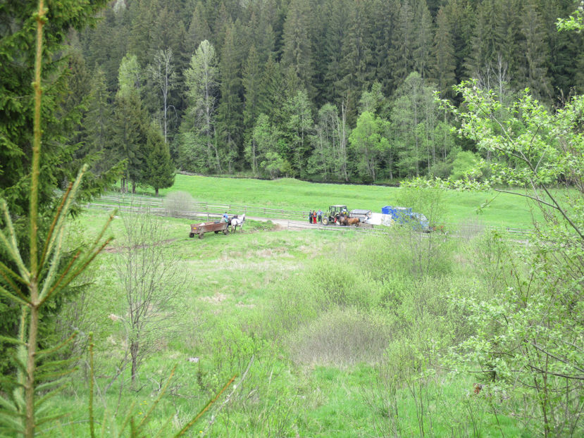 Ne asteapta oamenii - Urcatul la Stana Dealul Alb 2017 primavara