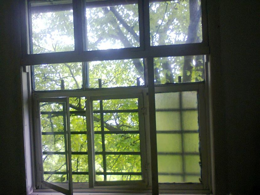 GEAMUL VECHI-ADIO! 25V2017 - 2017 RENOVARE CABANA DE LA GRADINA 2 - 17 mai