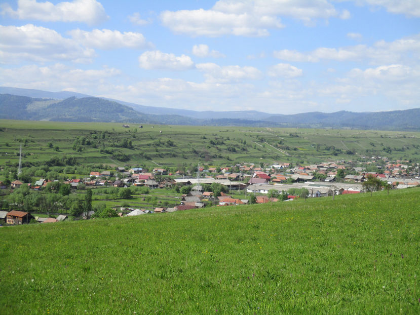 Soare frumos timpul - Urcatul la Stana Dealul Alb 2017 primavara