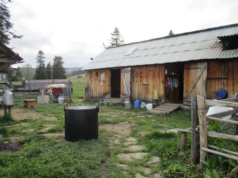 Stana din fata - Urcatul la Stana Dealul Alb 2017 primavara