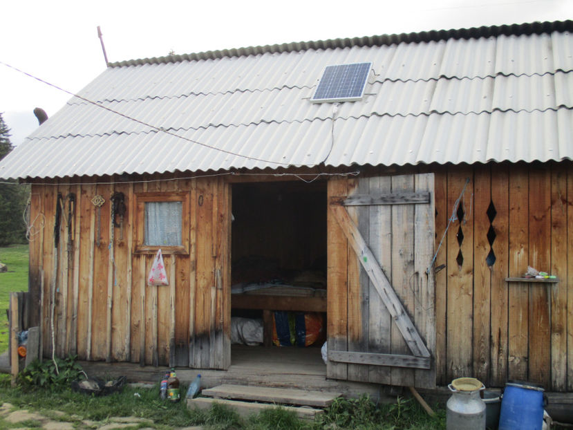 Stana din munte-hy5 - Urcatul la Stana Dealul Alb 2017 primavara