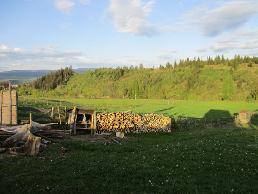 Stana din Magherus - Urcatul la Stana Dealul Alb 2017 primavara