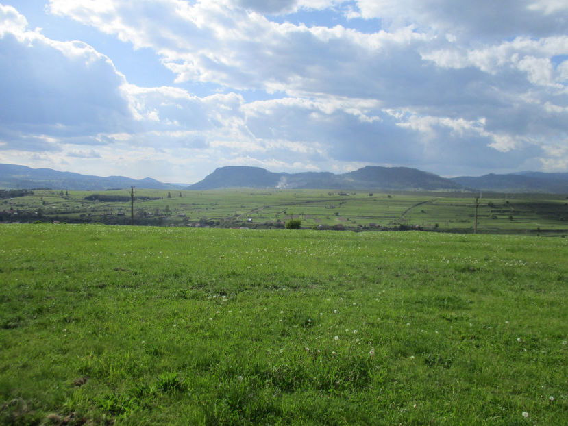 Tarnita si Dealul-Vaii - Urcatul la Stana Dealul Alb 2017 primavara