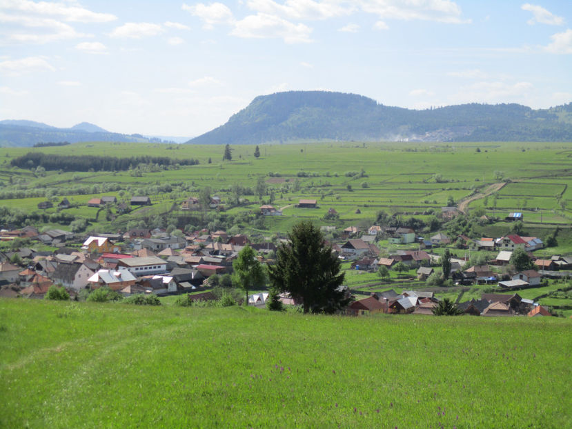 Toplita de pe deal,,, - Urcatul la Stana Dealul Alb 2017 primavara