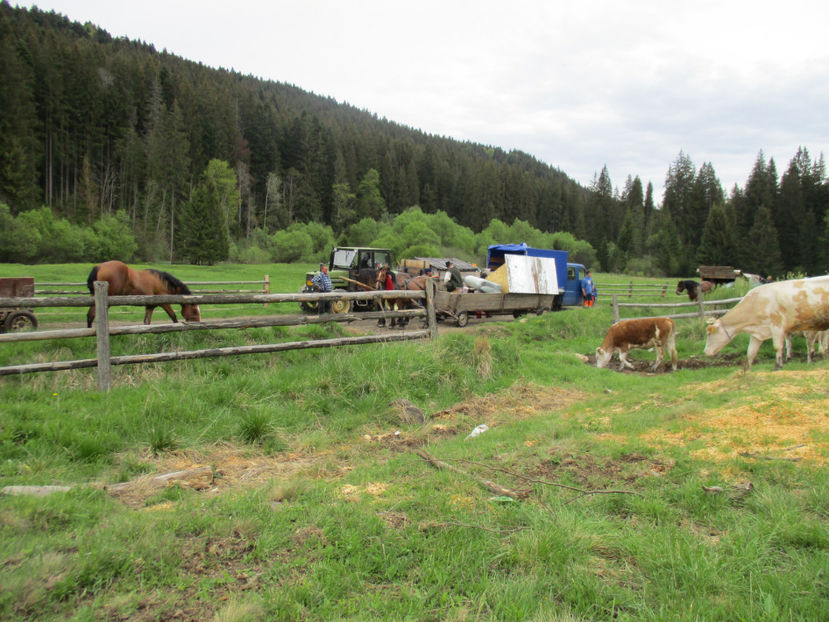 Utilaje si atelaje - Urcatul la Stana Dealul Alb 2017 primavara