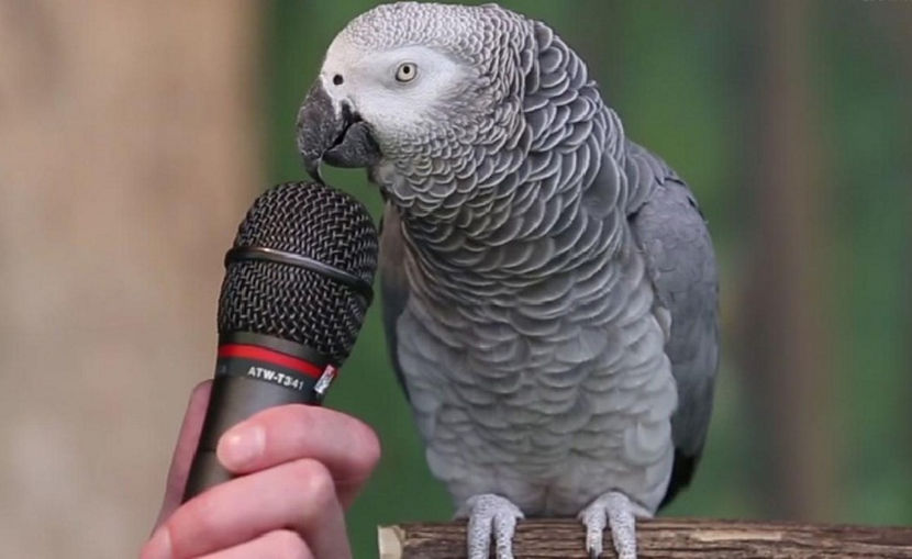 cel mai adevărat rămâne tot "X - Factor"!... - NATURA ȘI SURPRIZELE EI