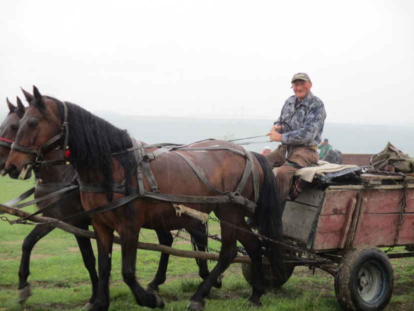 Zambete in ploaie - Urcatul la Stana Dealul Alb 2017 primavara