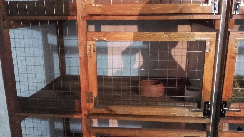 18721277_1423293957763952_1031476775_o - Noul adapost in lucru