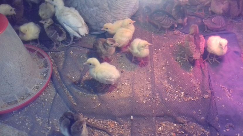  - zzzzzzzzzzzzzzzzz zzzzzzzzzzzzzz nu mai am