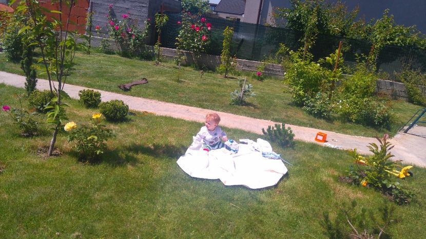  - AA - In  gradina mea