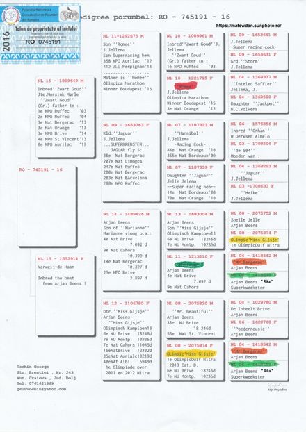 RO-16-745191-F - Vochin George Gizela