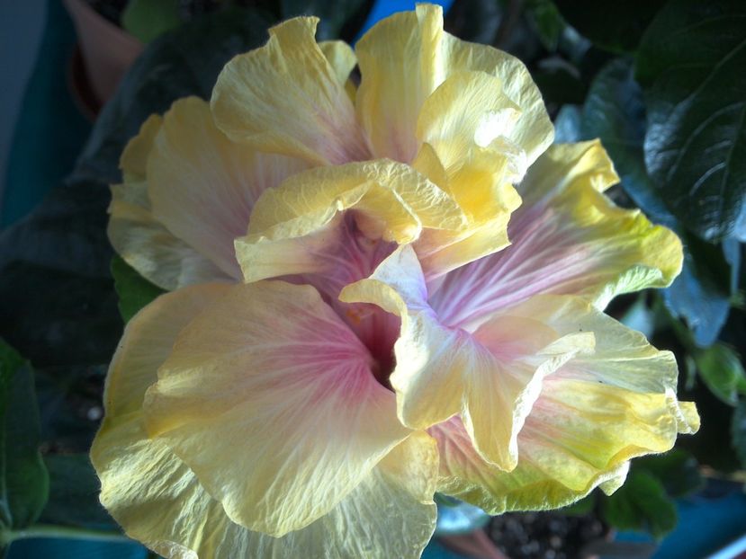 WIN_20170526_083804 - Gator Magic