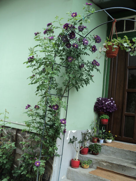 25 mai 2017 - Rhapsody in blue