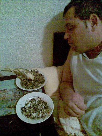 Image034 - nimfele mele
