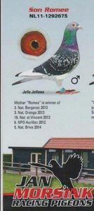 JAN MORSINK FIUL ROMEE BUNIK PUI - Vochin George Gizela