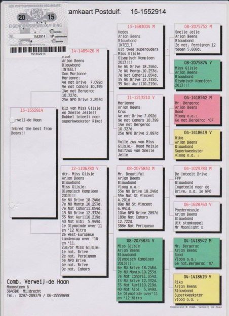 NL-15-1552914 F (2) - Vochin George Gizela