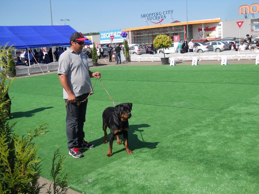  - Bucovina Dog Show 2017