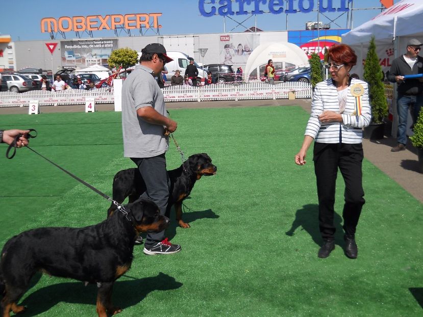  - Bucovina Dog Show 2017
