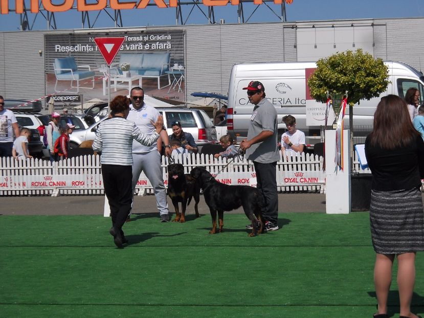  - Bucovina Dog Show 2017