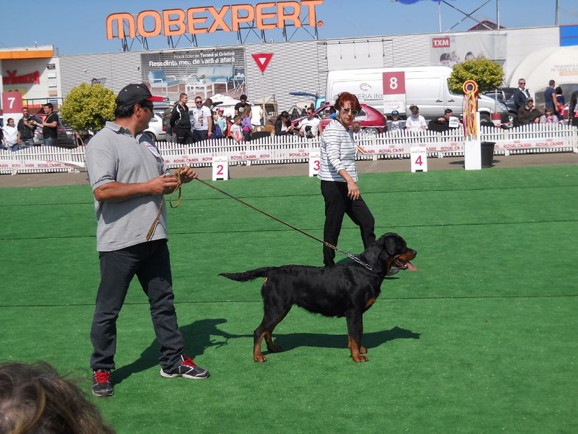  - Bucovina Dog Show 2017