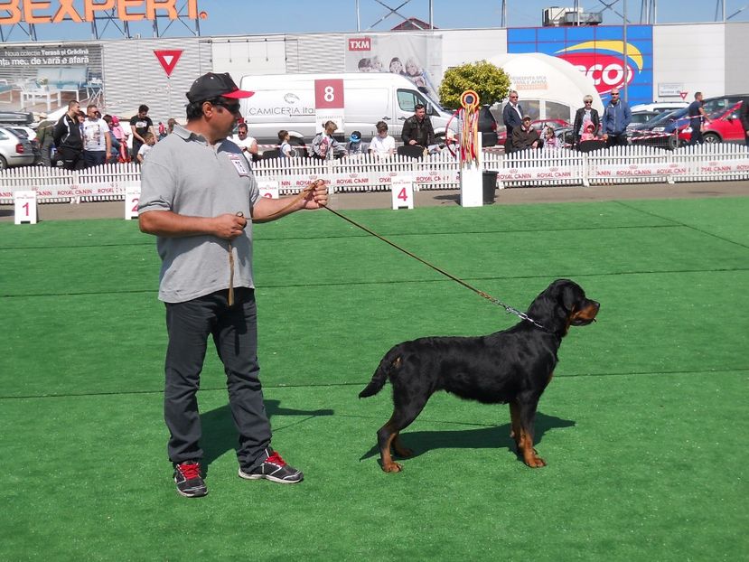  - Bucovina Dog Show 2017