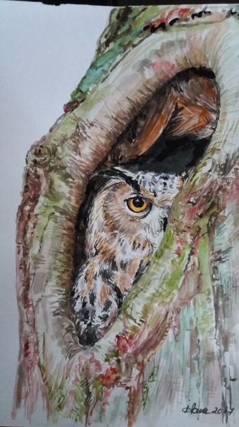  - Picturi in acuarela