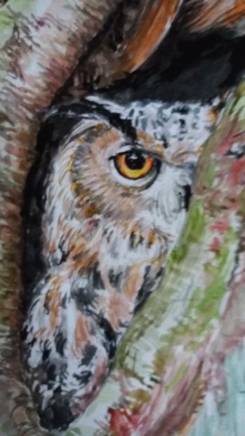  - Picturi in acuarela