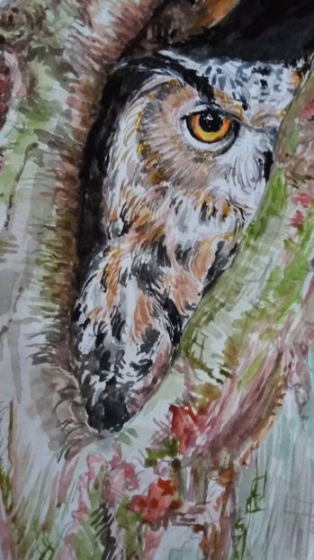  - Picturi in acuarela