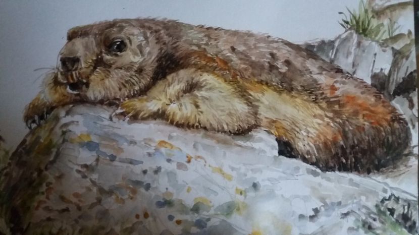  - Picturi in acuarela