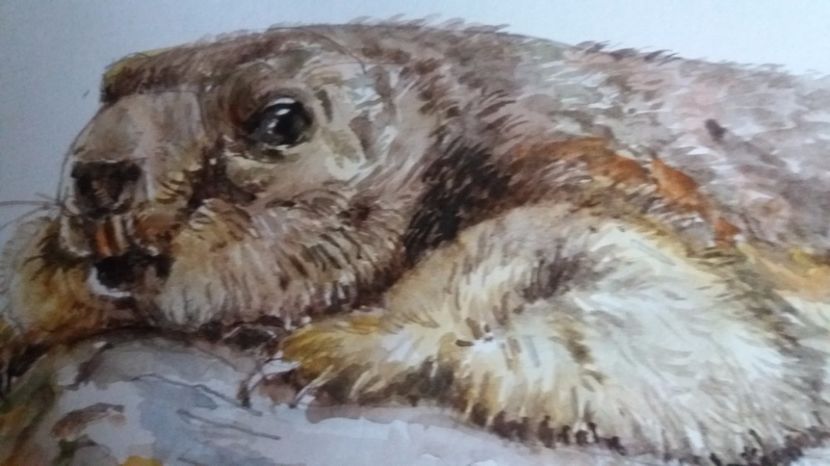  - Picturi in acuarela